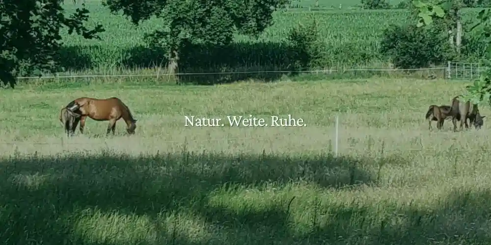 Ferienwohnung Ammerland: Gr&uuml;ne Weide mit Pferden in Hahn-Lehmden &ndash; Natur, Weite und Ruhe genie&szlig;en.